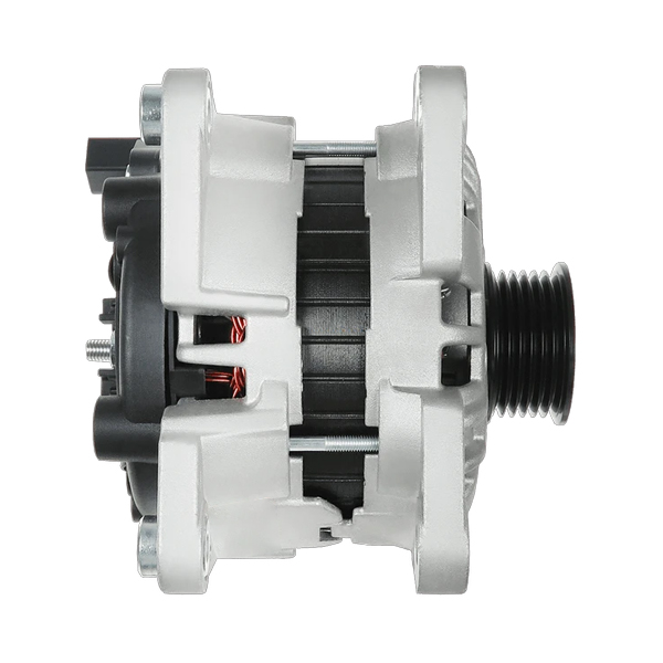 VW Polo-Virtus - 12V-110A-Polea 6 canales - Imagen 3