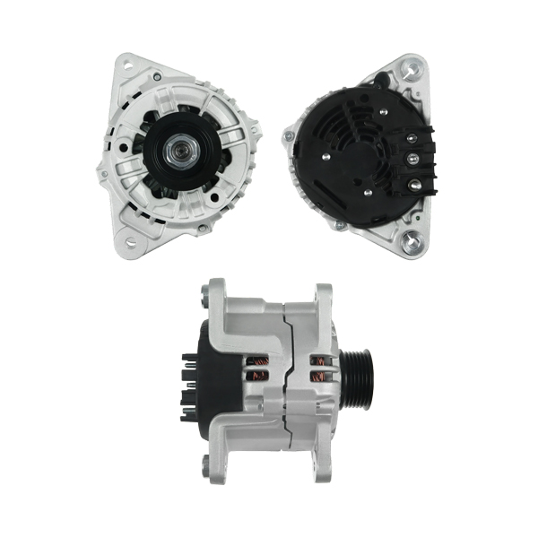 Bosch Ford Escort 12V-70A-Polea 6 canales - Imagen 4
