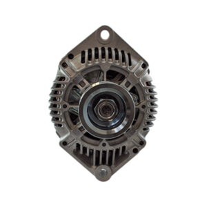 Renault Clio 1.9 Diesel - 12V-110A-Polea 6 Canales