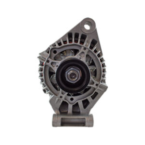 Ford Focus/Fiesta 1.4, 1.6 - 12V-90A-Polea 6 Canales