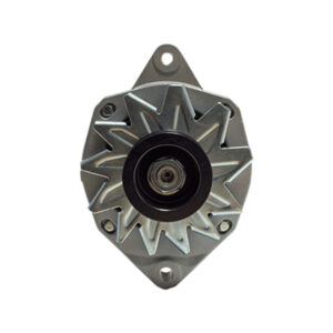Renault 19-Clio 12V-70A- Polea 6 Canales